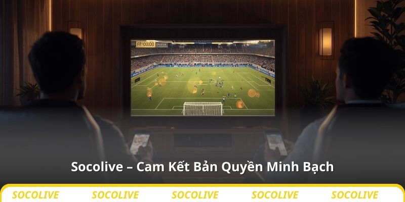 Socolive – Cam Kết Bản Quyền Minh Bạch